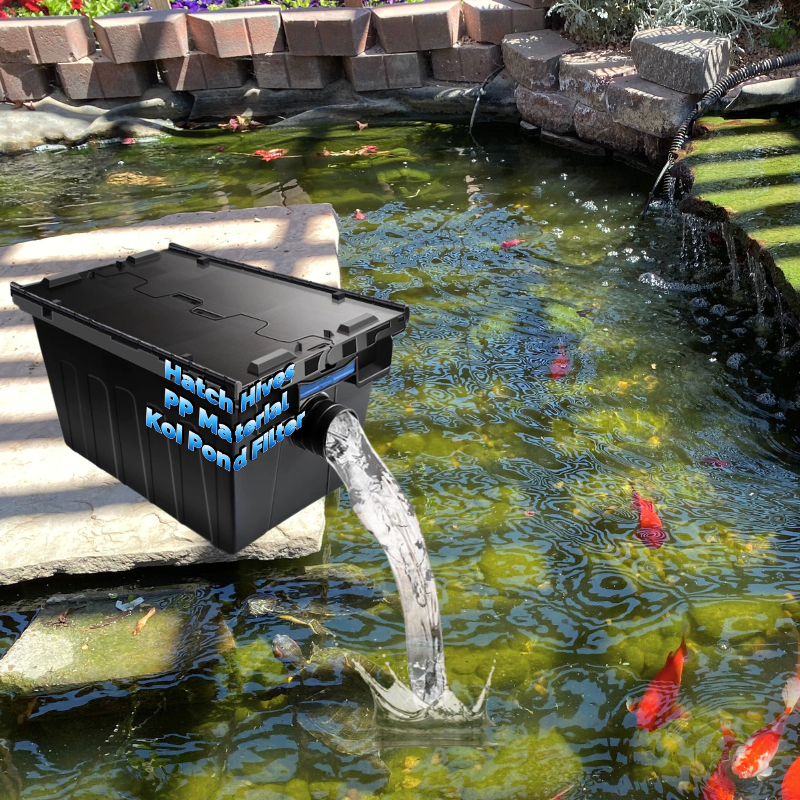 Aquarium Fish In Pond - Koi Pond Clear Water Solution PP