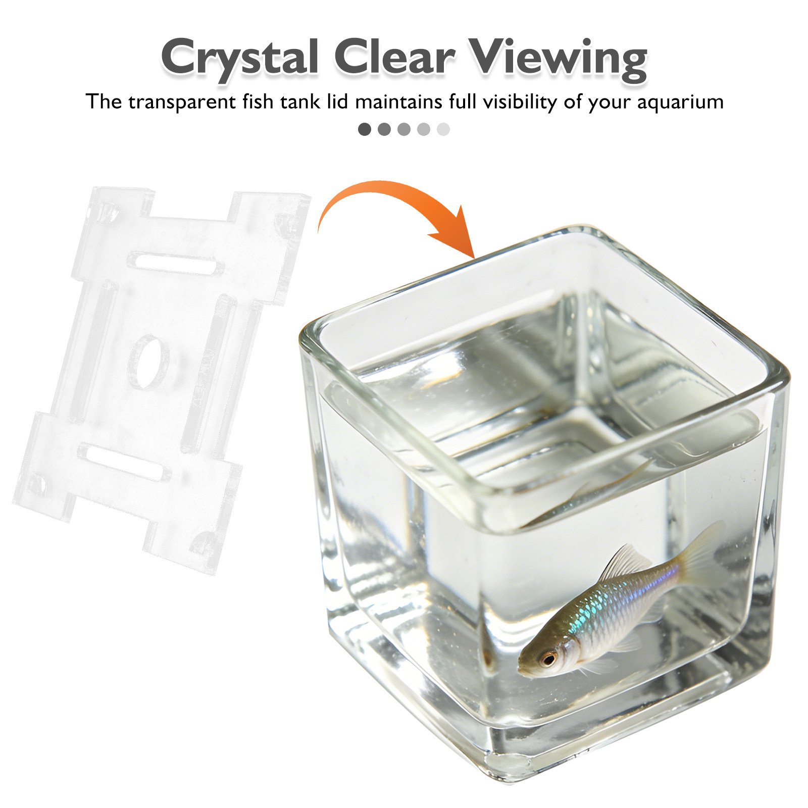 Transparent Acrylic Aquarium A - Aquarium Fish Jump Guard のレビューと価格