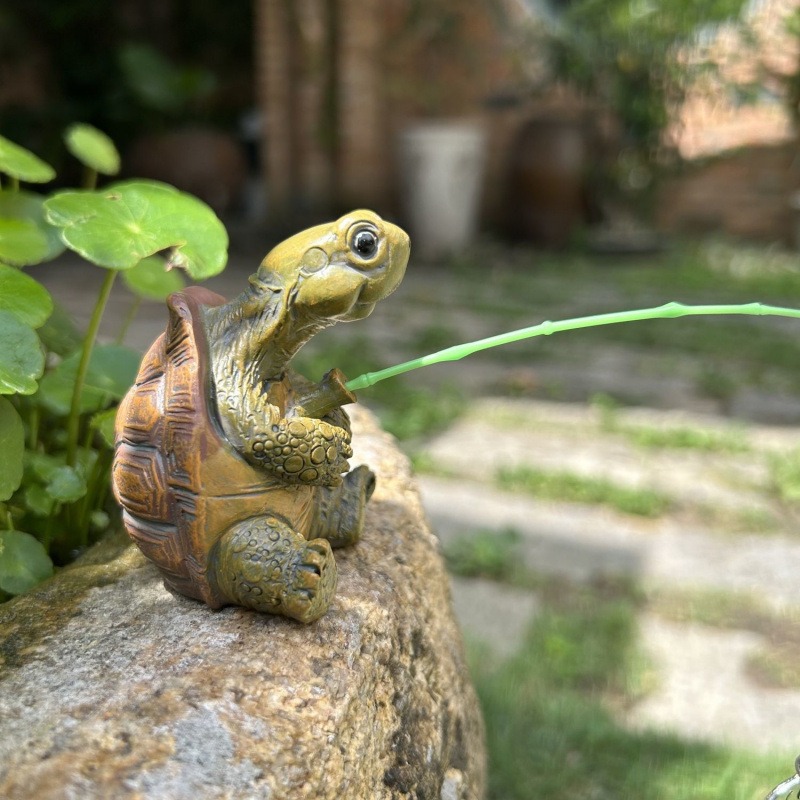 Turtle fishing fish tank aquar - Aquarium Fish Gallery のレビューと価格