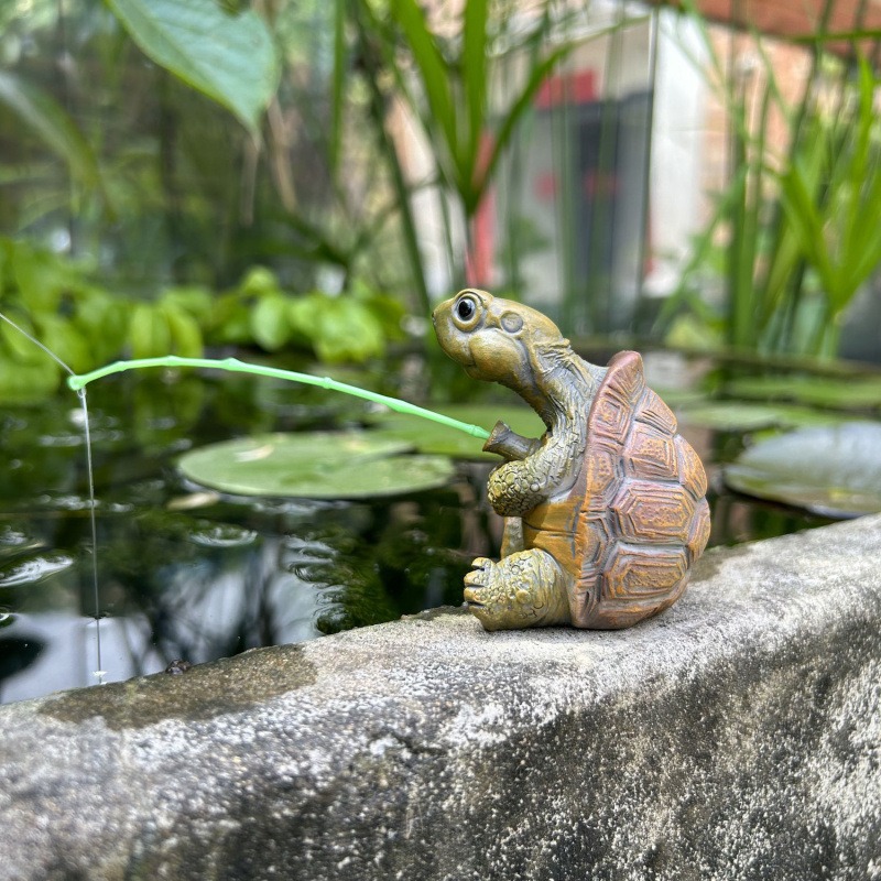 Turtle fishing fish tank aquar - Aquarium Fish Gallery のレビューと価格