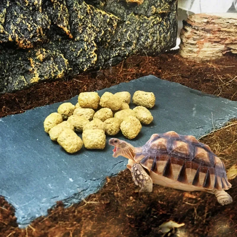 Natural Slate Aquarium Pet Rep - Aquarium Fish Feeder のレビューと価格