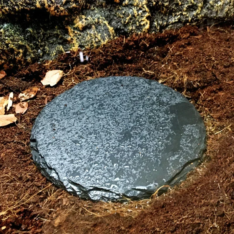 Natural Slate Aquarium Pet Rep - Aquarium Fish Feeder のレビューと価格