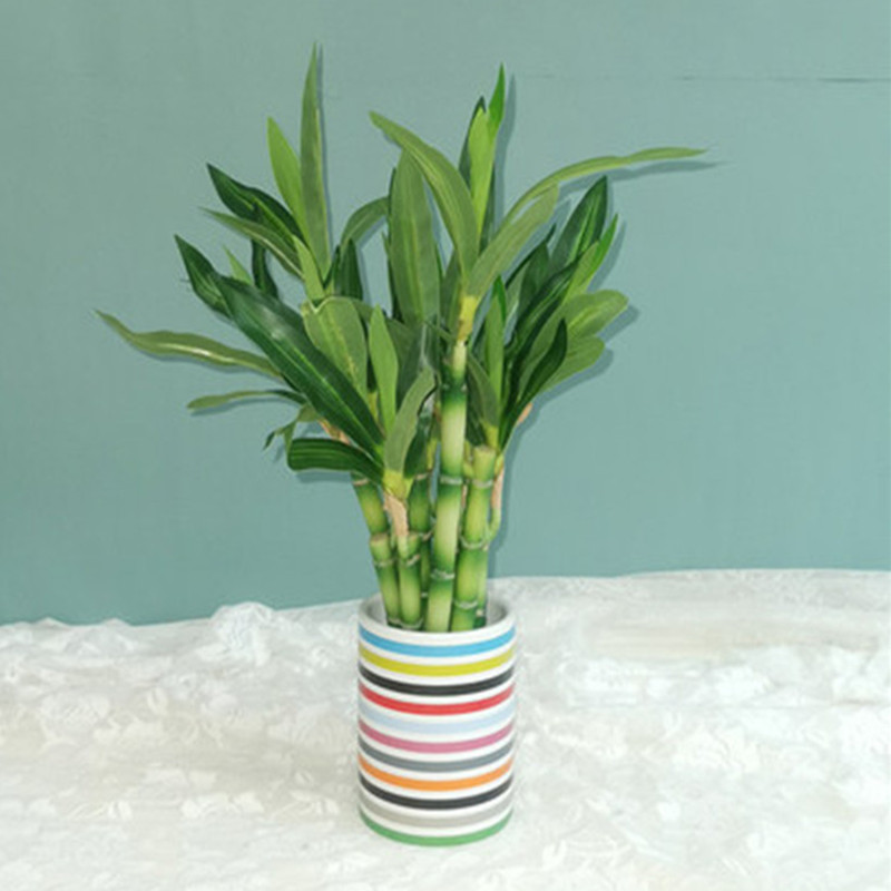 New 40cm rFtificial Lucky Bamb - Aquarium Fish Gallery のレビューと価格