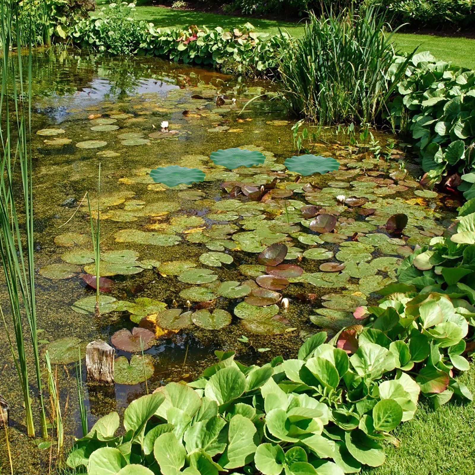 15Pcs Artificial Lotus Leaves  - Aquarium Fish In Pond のレビューと価格