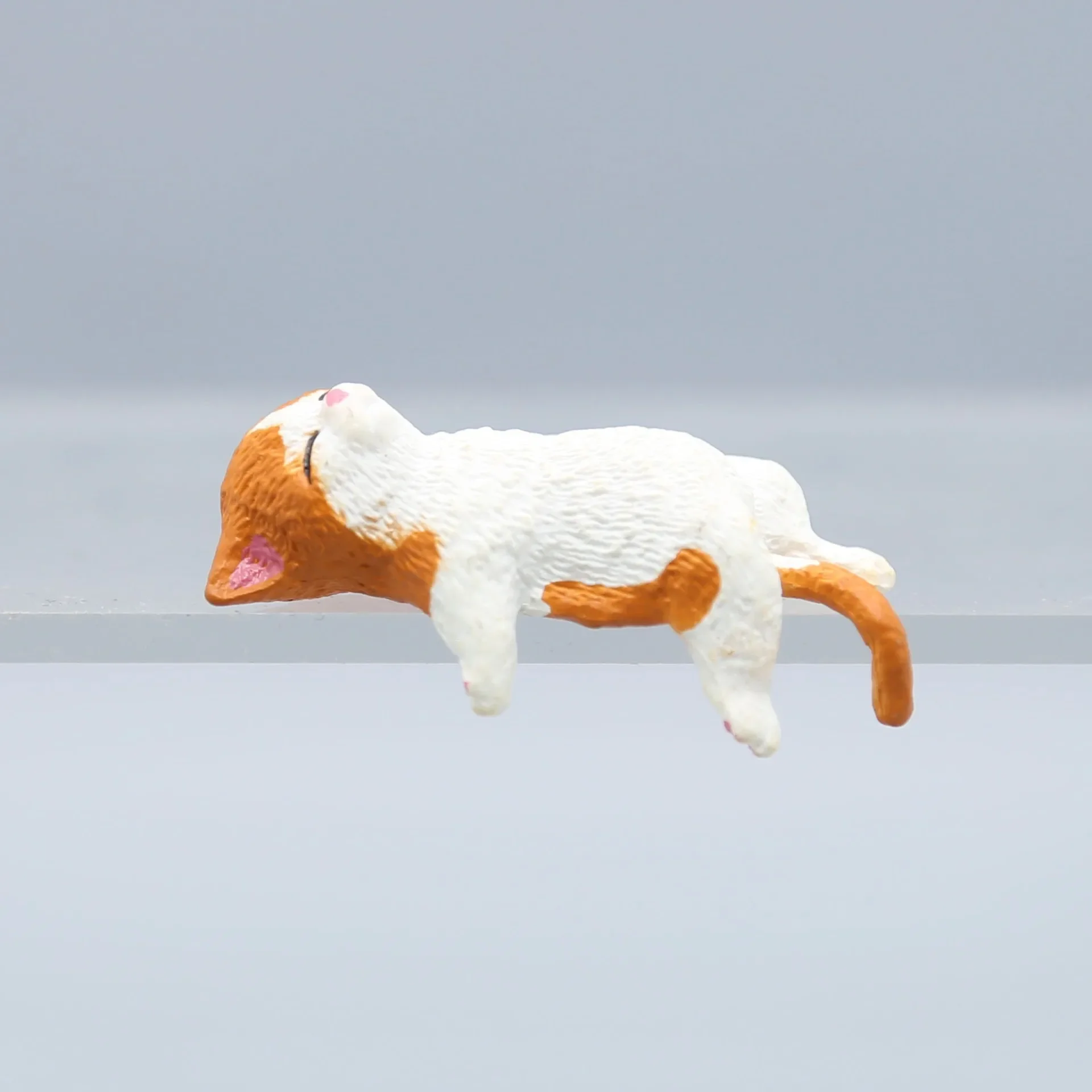 Cute Cartoon Cat Decor PVC Hom - Aquarium Fish For Beginners のレビューと価格