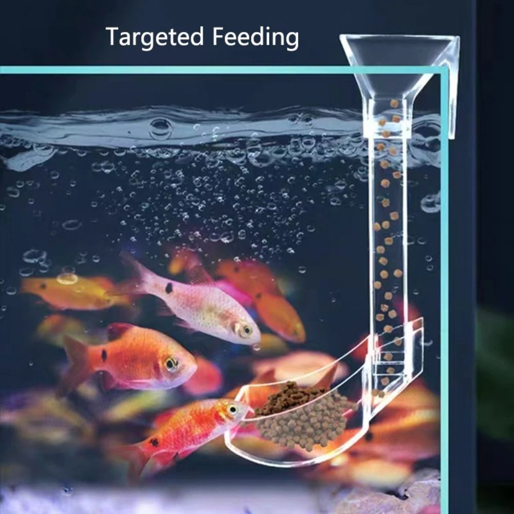 Transparent Aquarium Fish Tank - Aquarium Fish Feeder のレビューと価格