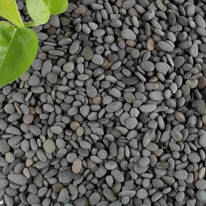 20Pcs Natural River Rocks Smoo - Aquarium Fish Gallery のレビューと価格