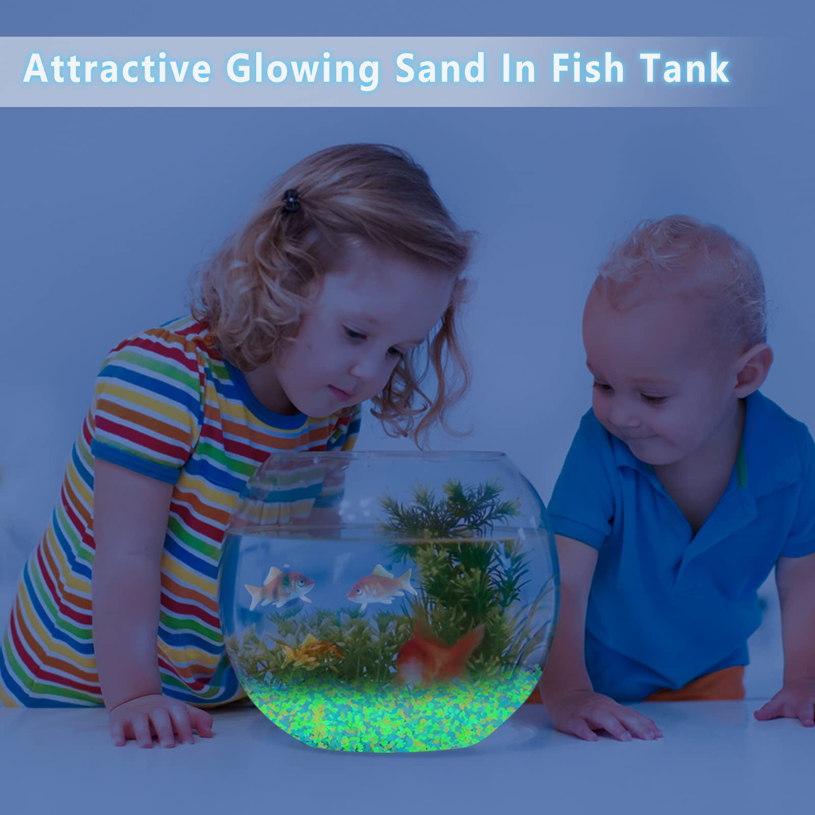 1000Pcs Luminous Sand Glow In  - Aquarium Fish Gallery のレビューと価格