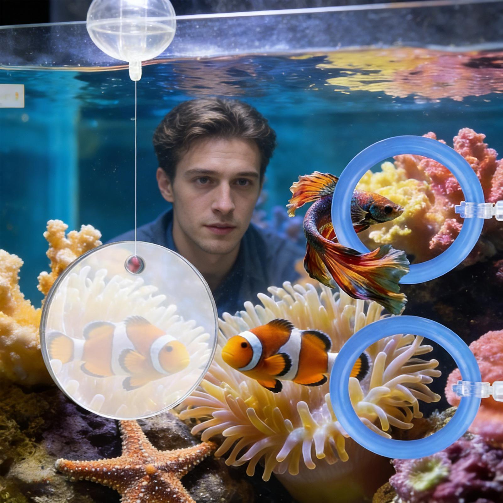2Pcs Floating Feeding Ring Wit - Aquarium Fish Feeder のレビューと価格