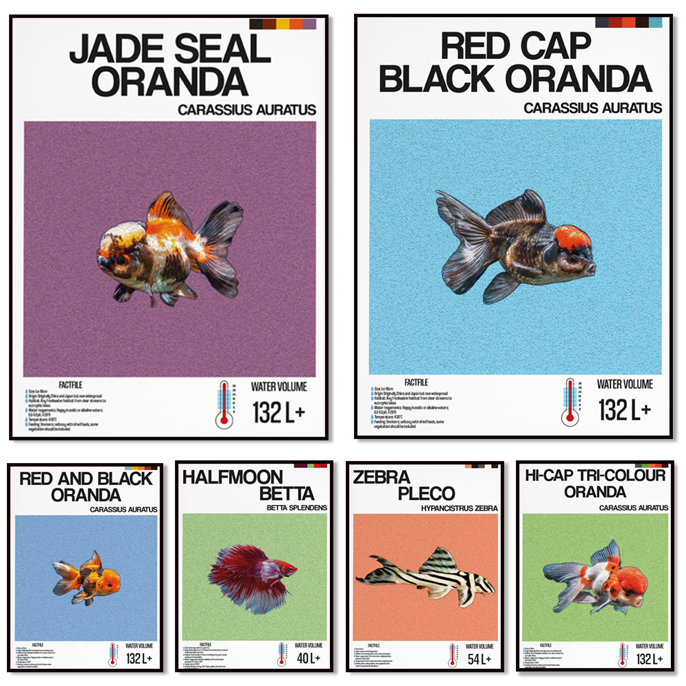 Fish information print, orname - Aquarium Fish Zebra のレビューと価格