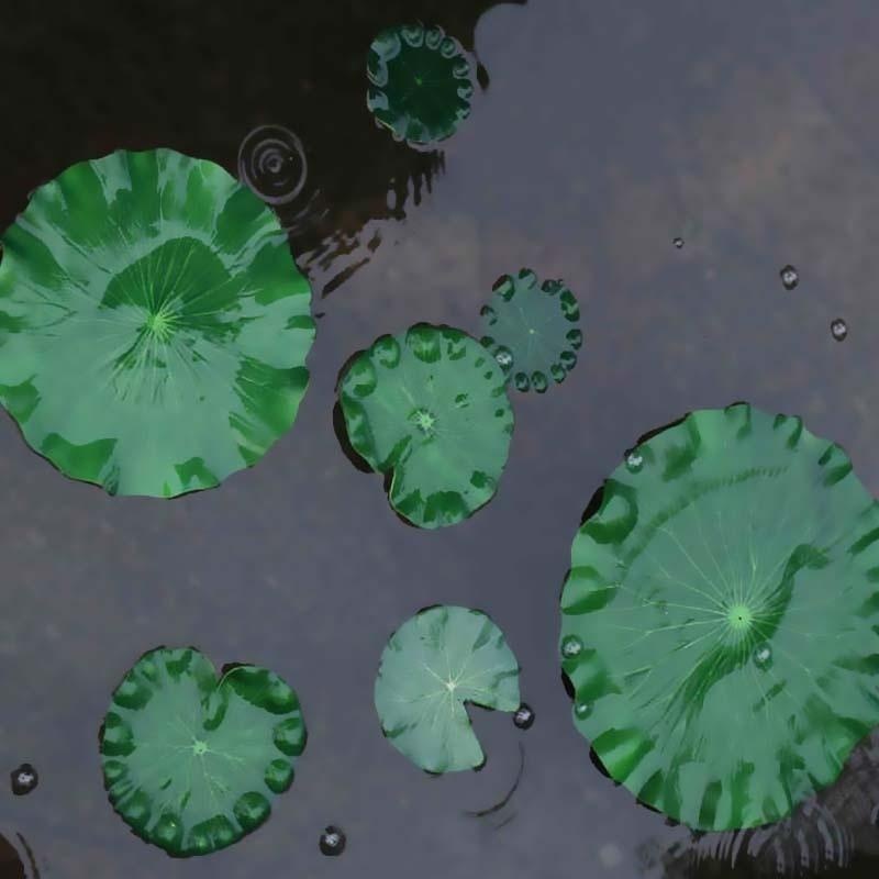 2026 Artificial Water Lily Lot - Aquarium Fish Gallery のレビューと価格