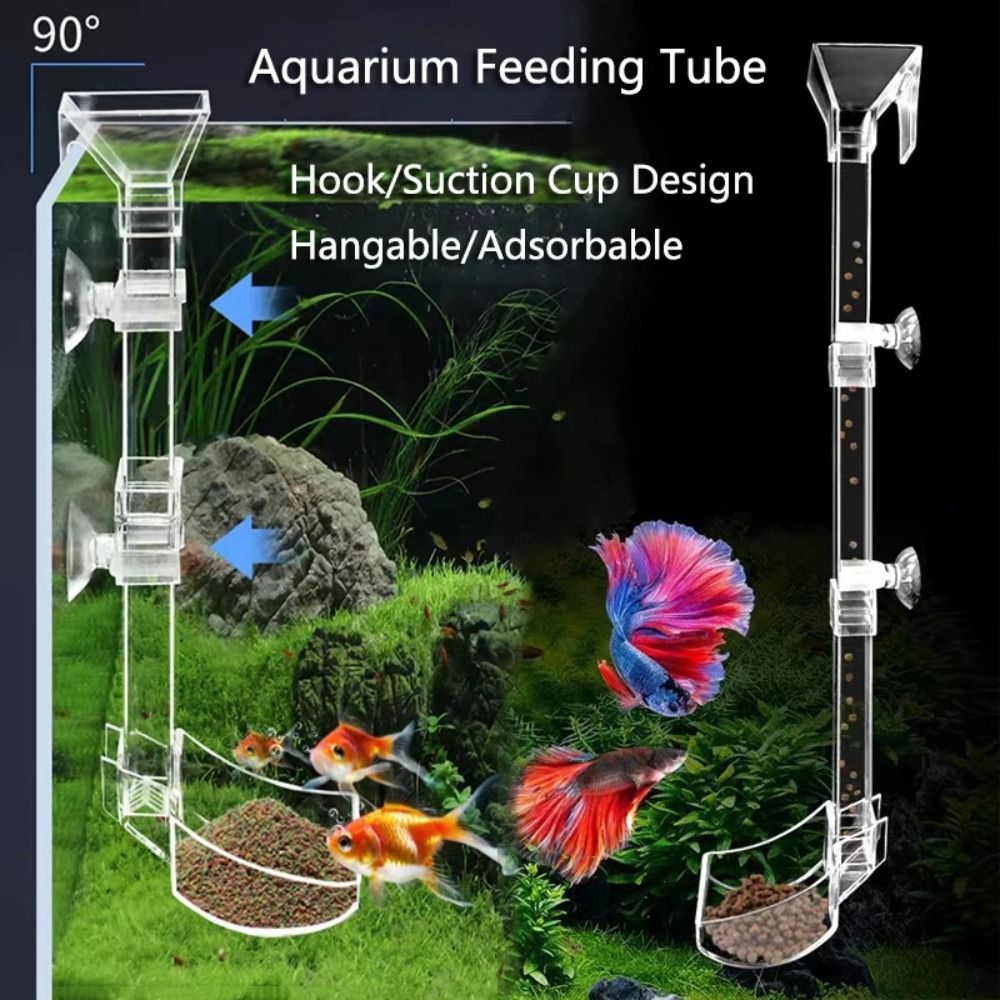 Transparent Aquarium Fish Tank - Aquarium Fish Feeder のレビューと価格