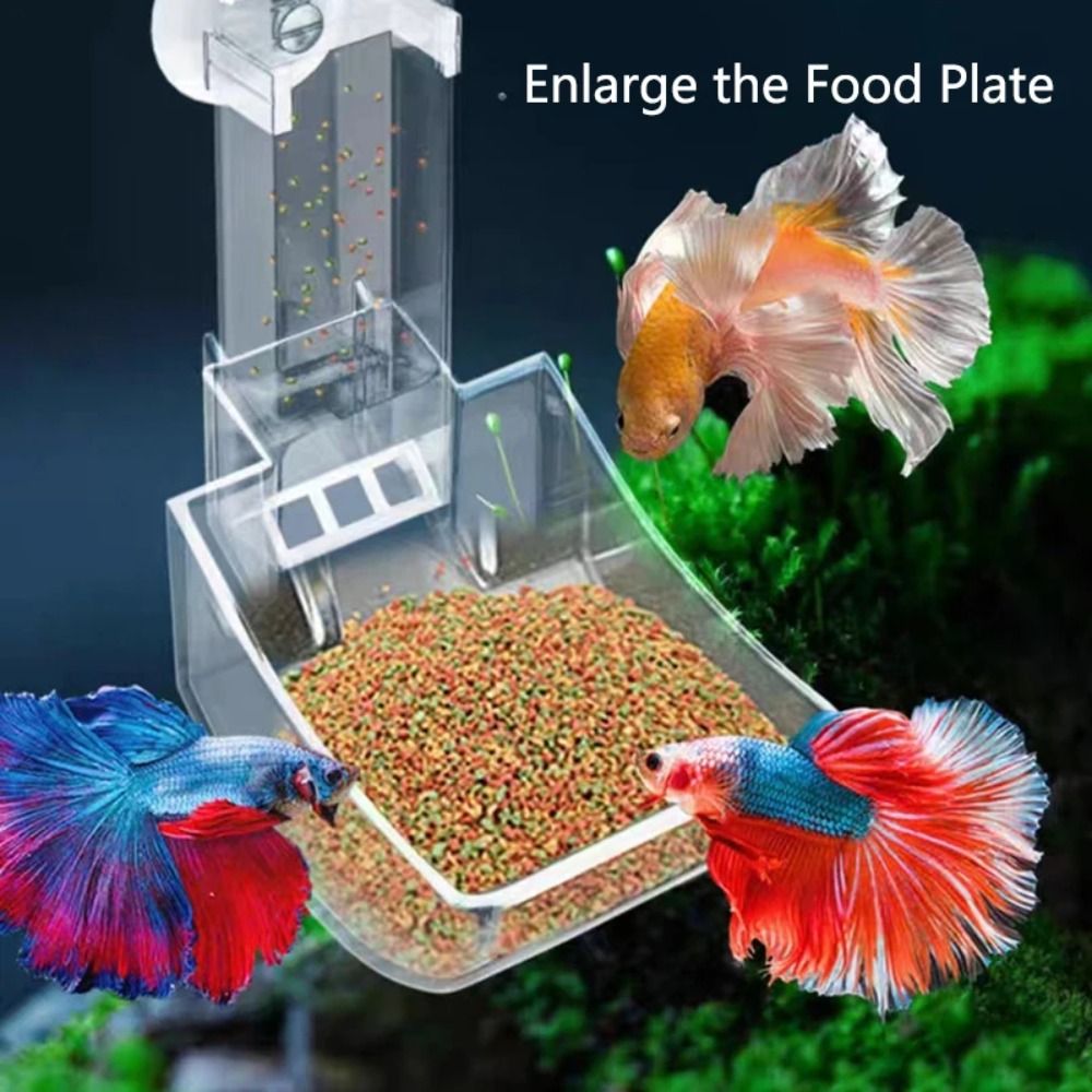 Transparent Aquarium Fish Tank - Aquarium Fish Feeder のレビューと価格