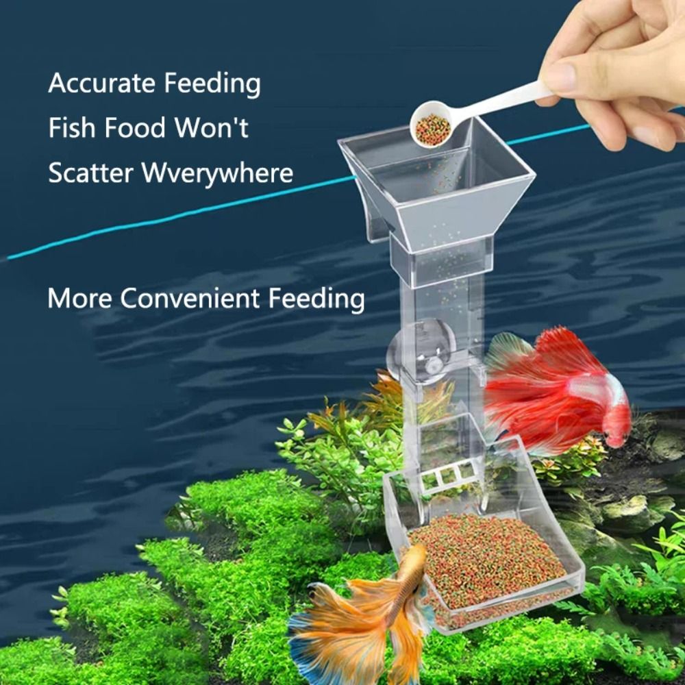 Transparent Aquarium Fish Tank - Aquarium Fish Feeder のレビューと価格