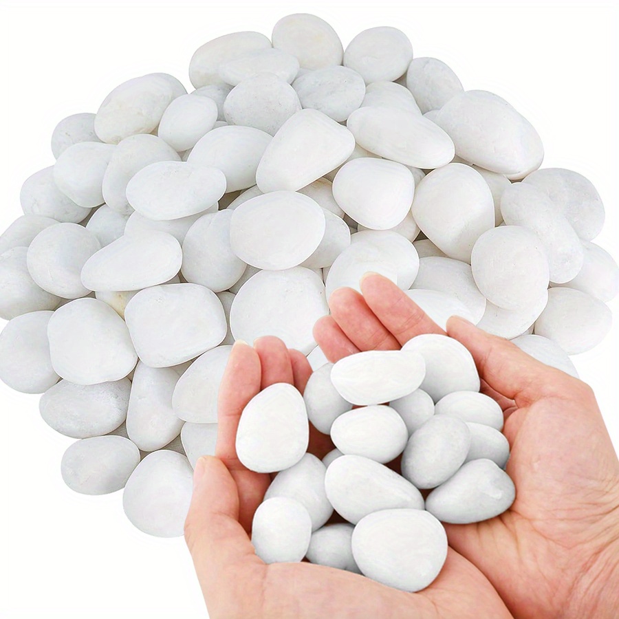 200/400g White High Polished N - Aquarium Fish Gallery のレビューと価格