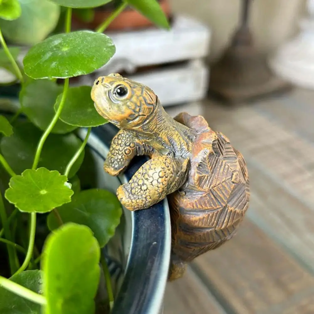 Fishing Turtle Hanging Turtle  - Aquarium Fish In Pond のレビューと価格