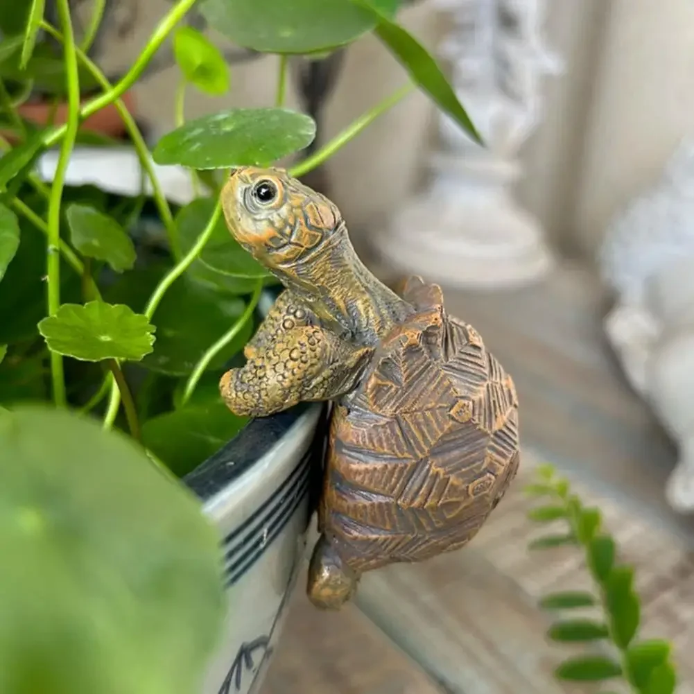 Fishing Turtle Hanging Turtle  - Aquarium Fish In Pond のレビューと価格