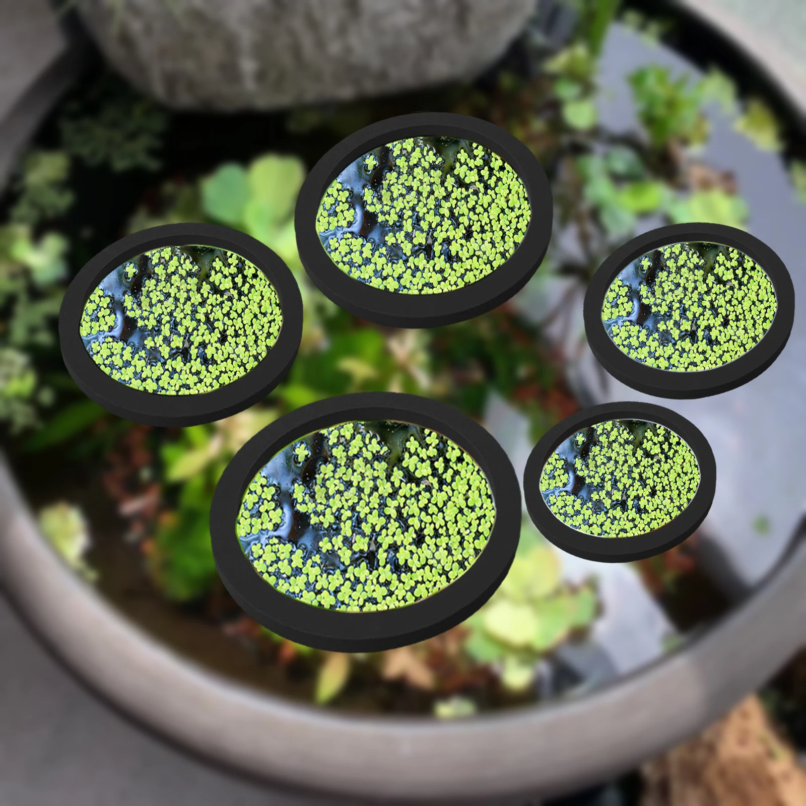5Pcs EVA Fish Feeding Ring Aqu - Aquarium Fish In Pond のレビューと価格