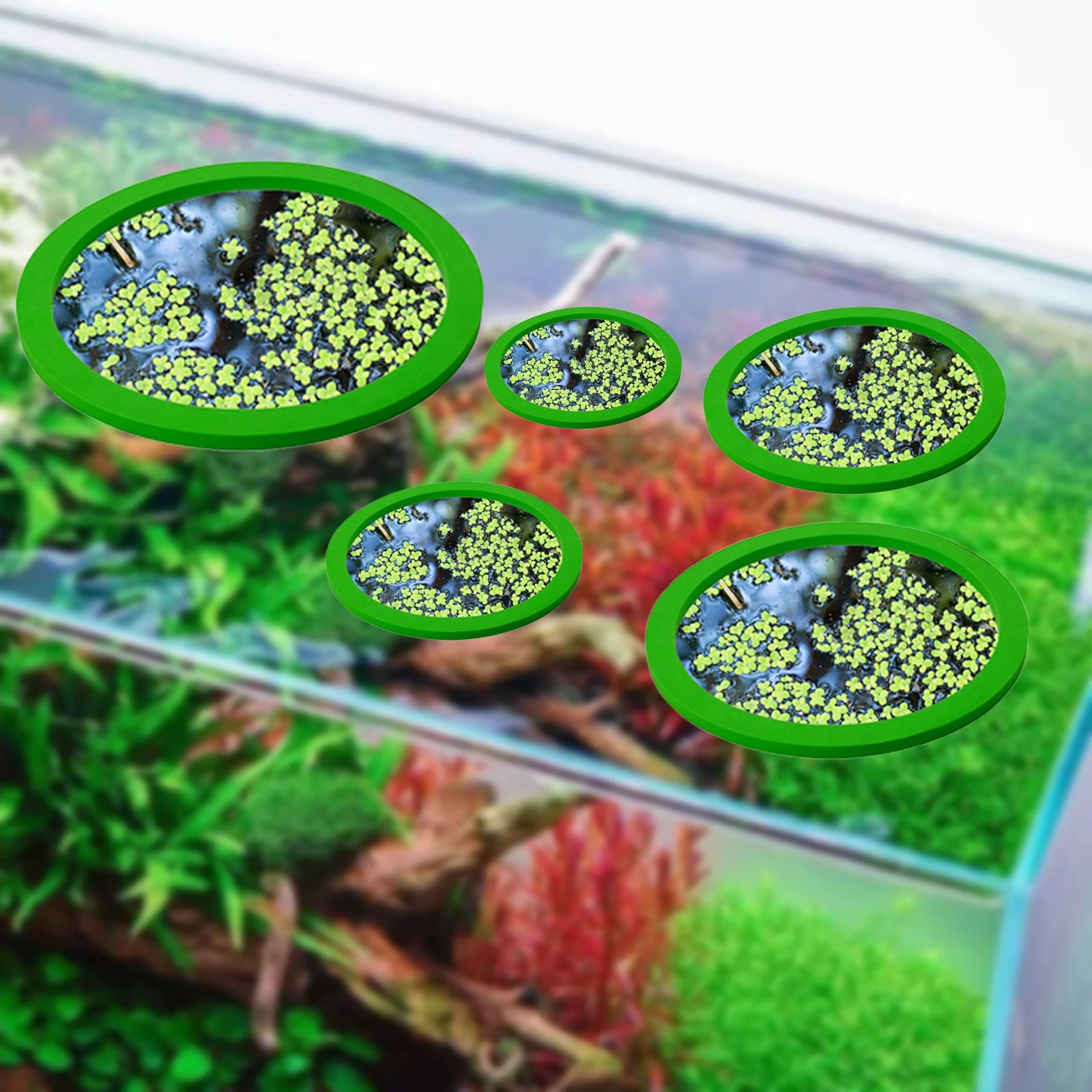 5Pcs EVA Fish Feeding Ring Aqu - Aquarium Fish In Pond のレビューと価格
