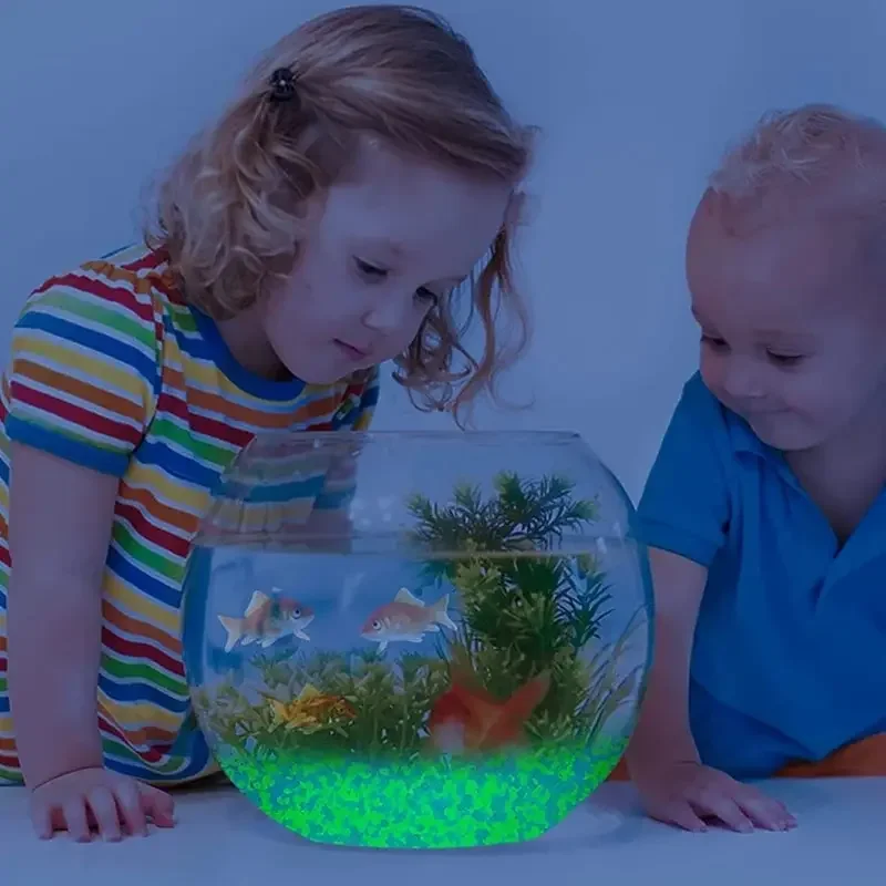 1000pcs 3-5mm Luminous Sand Gl - Aquarium Fish Gallery のレビューと価格