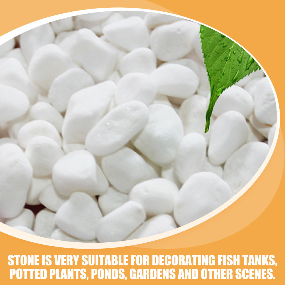 1Set White Decorative Stone El - Aquarium Fish Gallery のレビューと価格