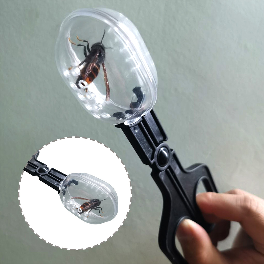 Portable Transparent Insect Ca - Aquarium Fish For Beginners のレビューと価格