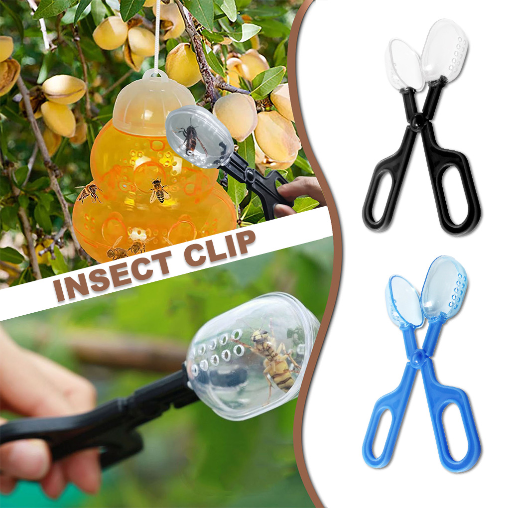 Portable Transparent Insect Ca - Aquarium Fish For Beginners のレビューと価格