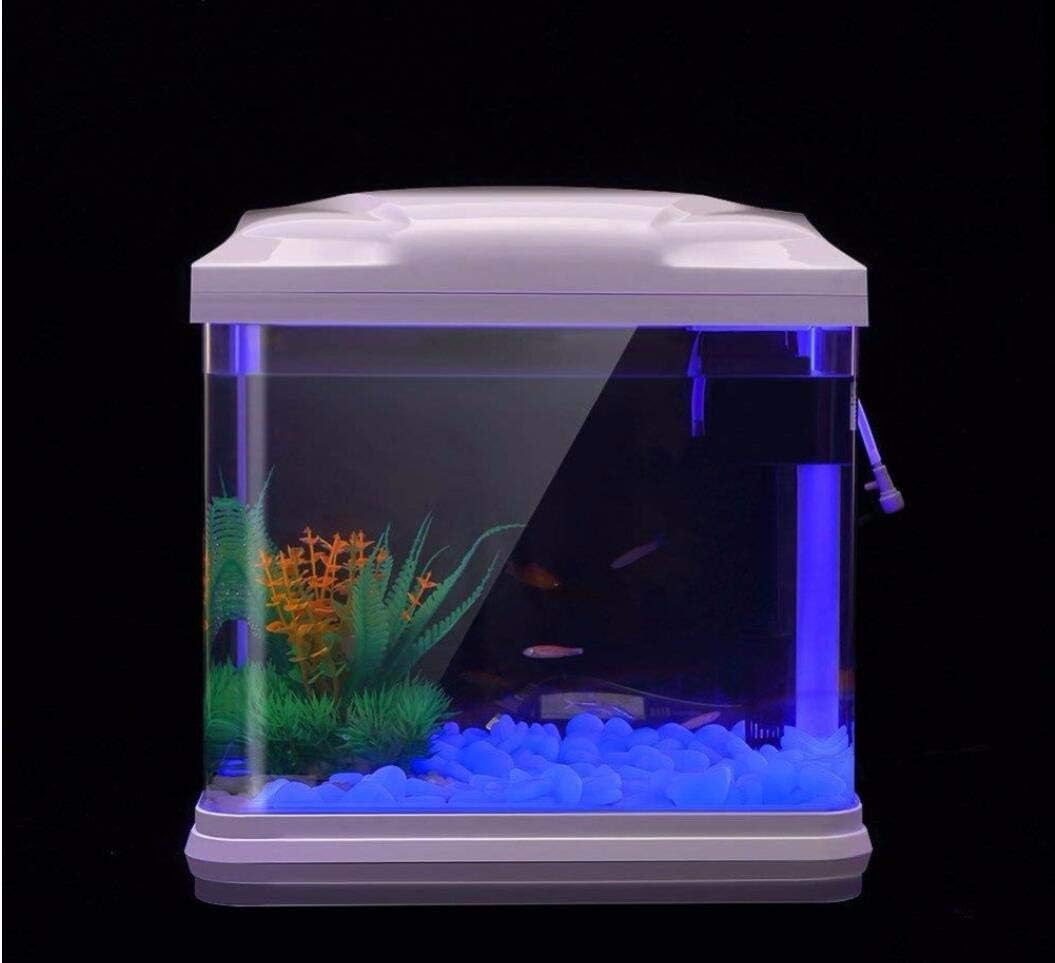 Fish Tank Rocks Glow Blue Pebb - Aquarium Fish Gallery のレビューと価格