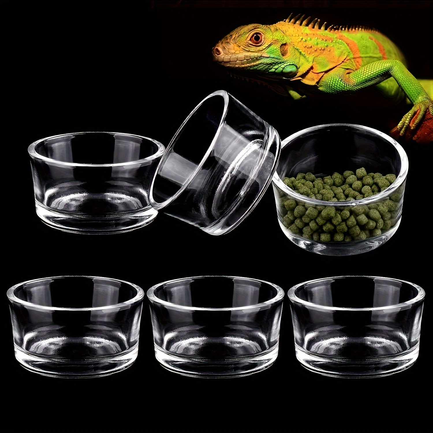 Glass Aquarium Mini Size Shrim - Aquarium Fish Feeder のレビューと価格
