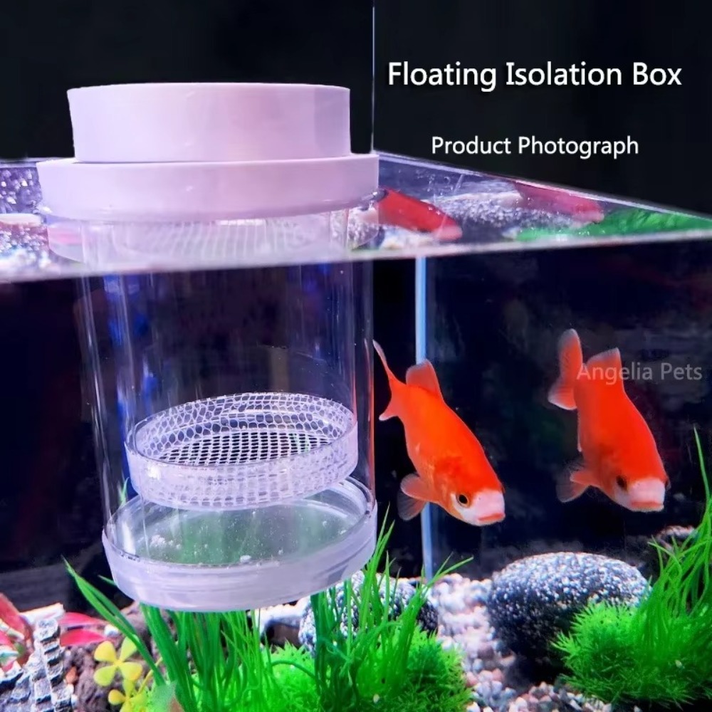 Plastic Floating Fish Breeding - Aquarium Fish Feeder のレビューと価格