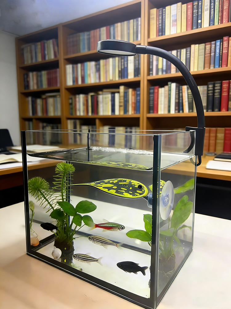 USB LED Fish Tank Clip Lamp Hi - Aquarium Fish Light Lamp のレビューと価格