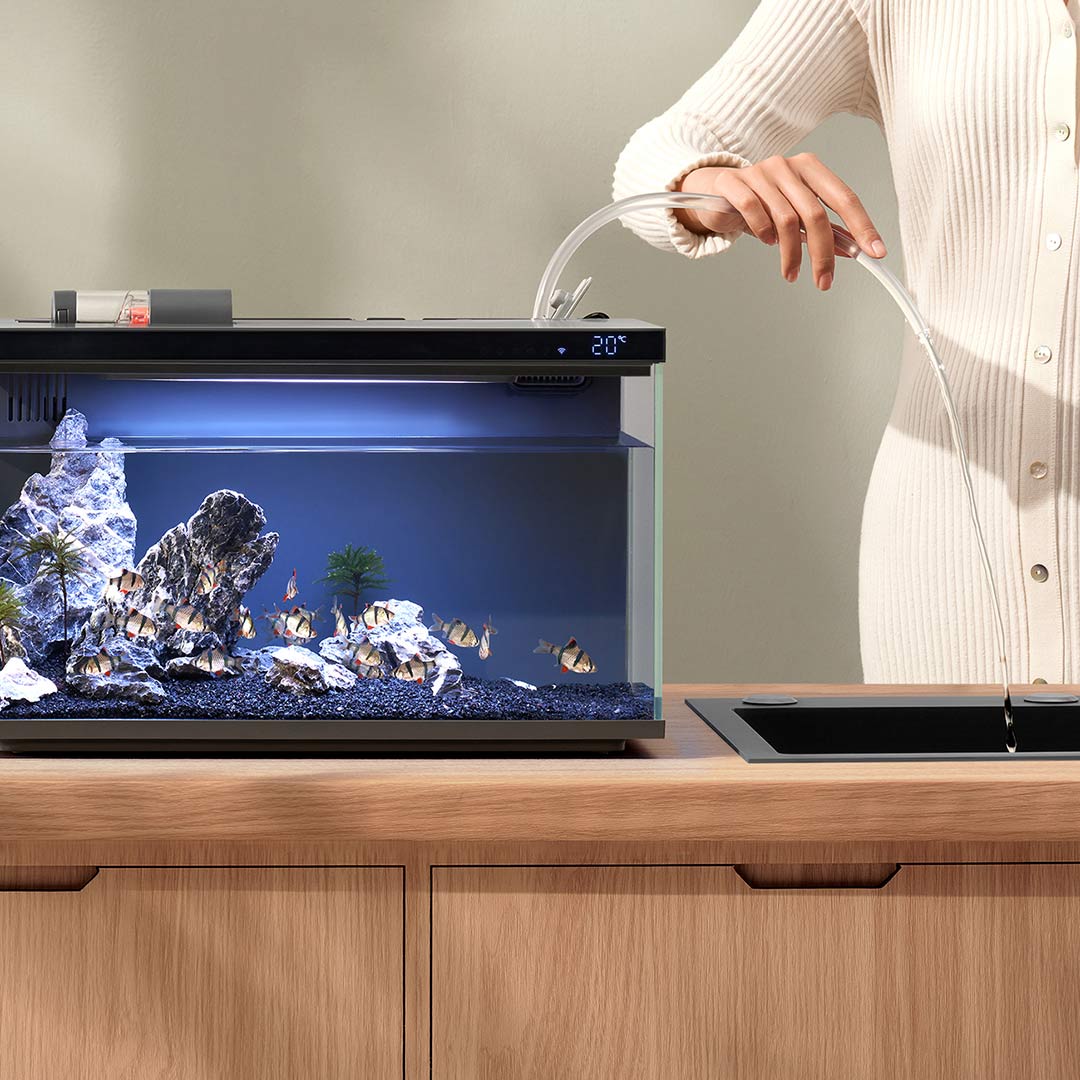 Xiaomi Mijia Smart Fish Tank M - Xiaomi Aquarium Fish Tank のレビューと価格