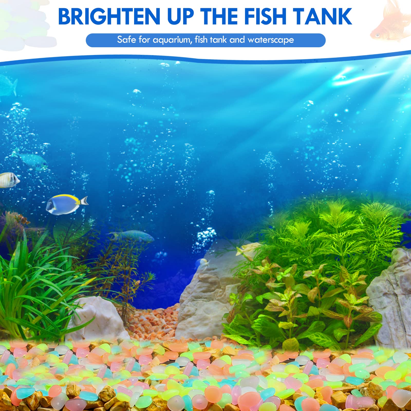 100Pcs Glow in the Dark Garden - Aquarium Fish Gallery のレビューと価格