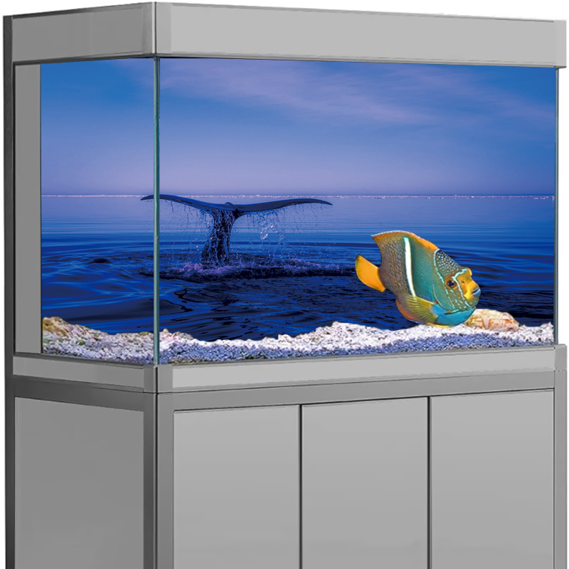 Aquarium Background Sticker Do - Aquarium Fish Dolphin のレビューと価格