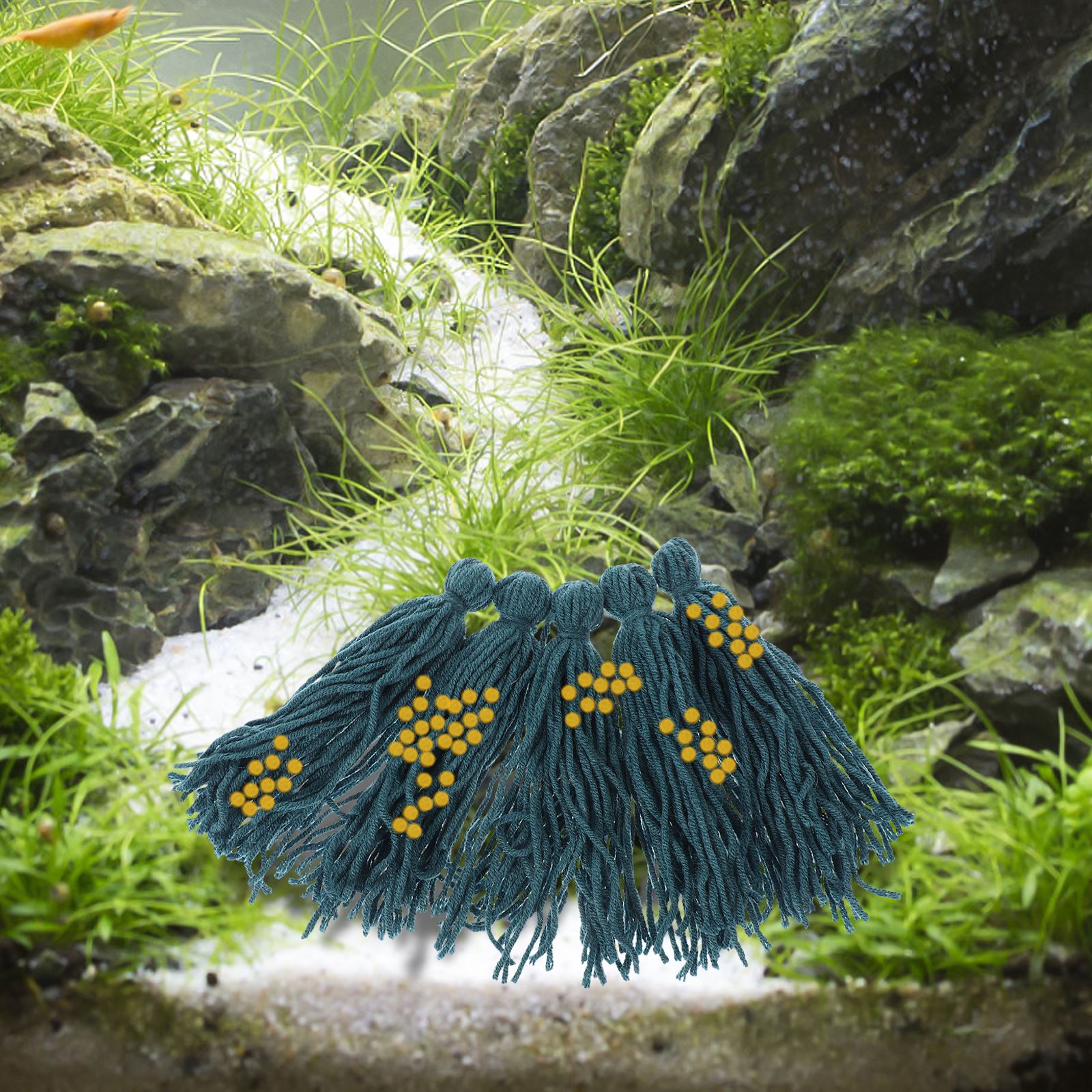 5Pcs Hatchery Spawning Mop Spa - Aquarium Fish For Beginners のレビューと価格