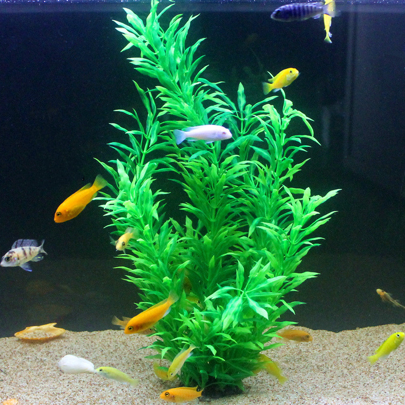 50CM Artificial Fish Tank Rare - Aquarium Fish Gallery のレビューと価格