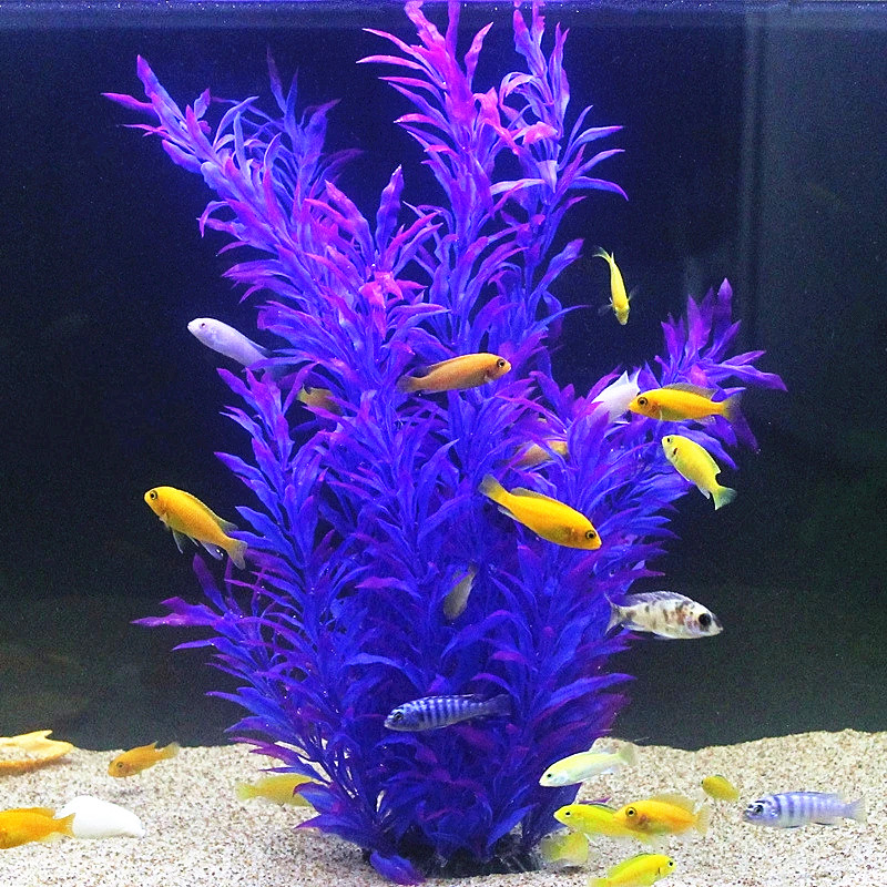 50CM Artificial Fish Tank Rare - Aquarium Fish Gallery のレビューと価格