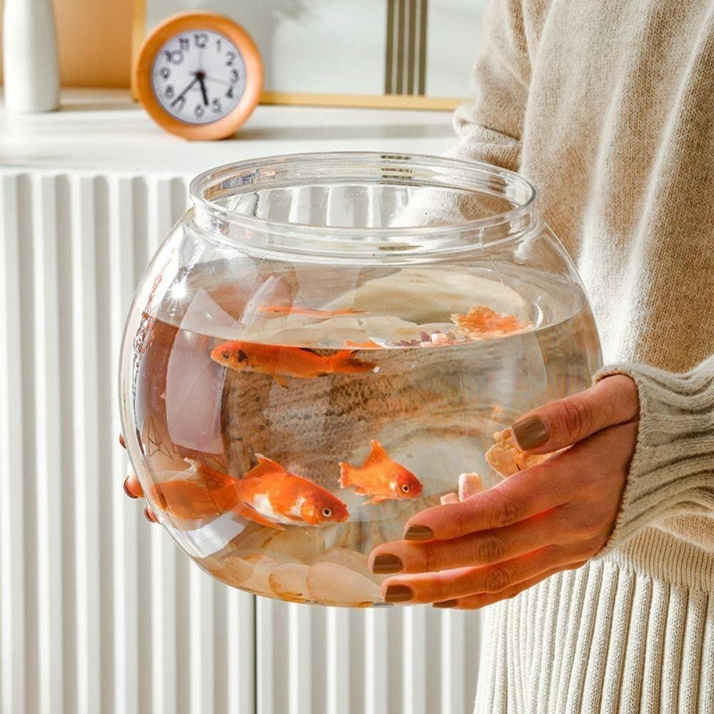 New Transparent Fish Tank Roun - Aquarium Fish For Beginners のレビューと価格