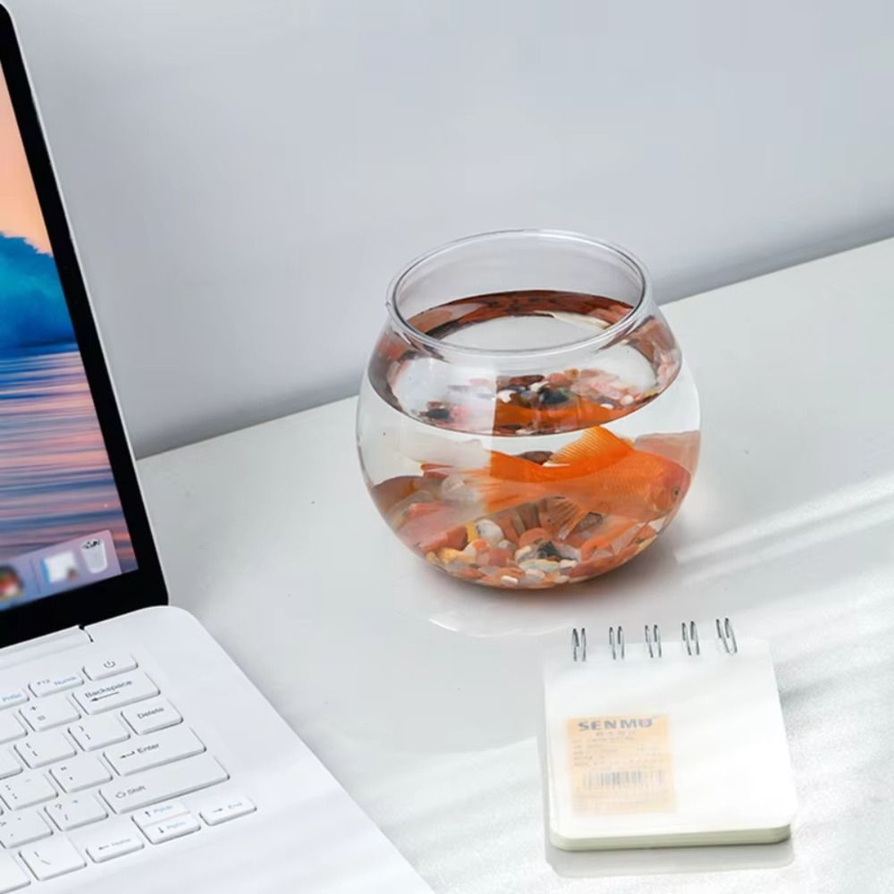 New Transparent Fish Tank Roun - Aquarium Fish For Beginners のレビューと価格