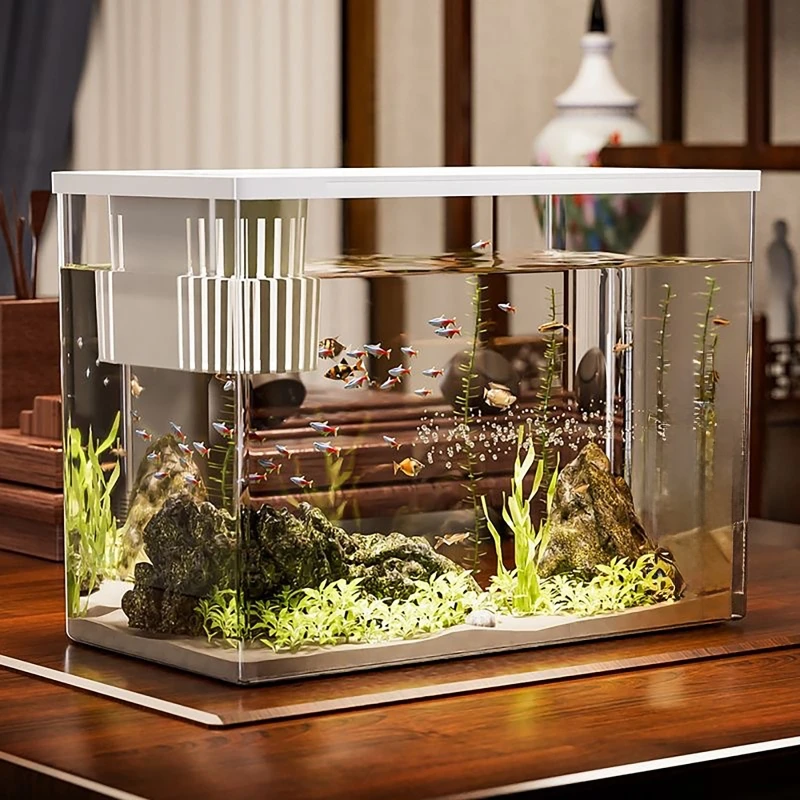 PET+ABS Fish Tank New Transpar - Aquarium Fish For Beginners のレビューと価格