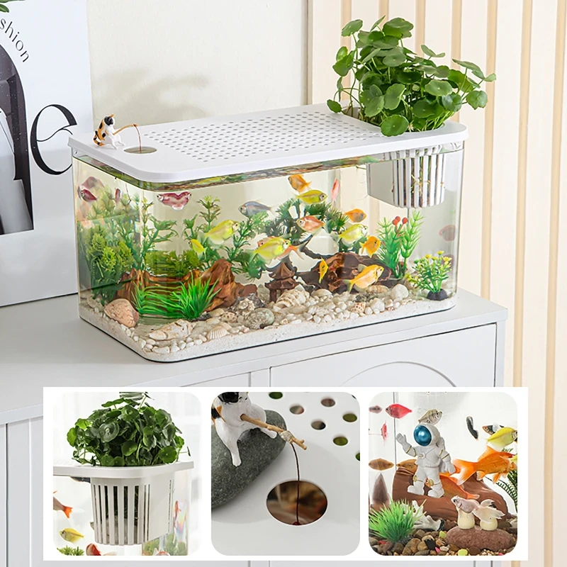 PET+ABS Fish Tank New Transpar - Aquarium Fish For Beginners のレビューと価格