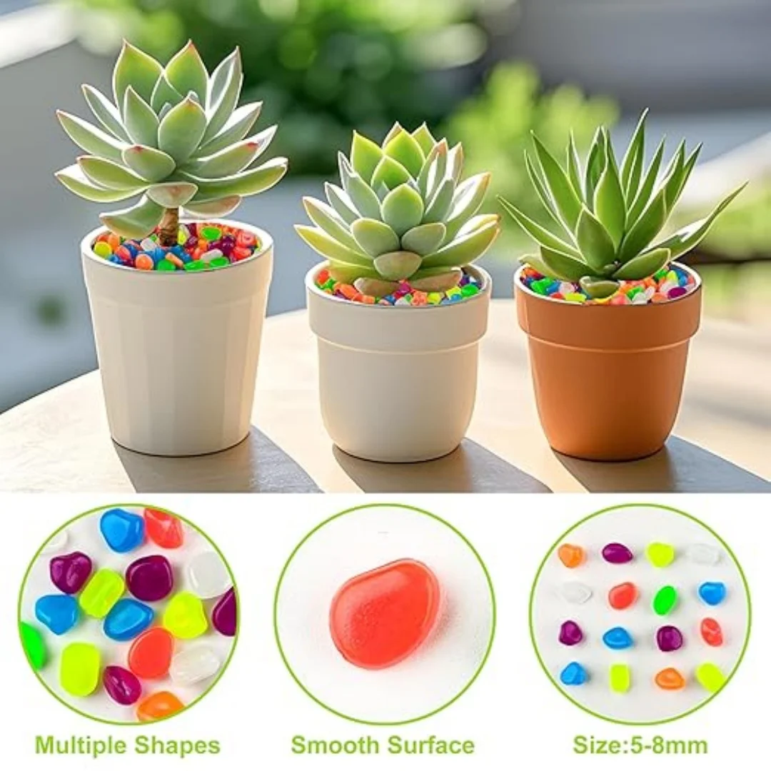 500Pcs Glow in The Dark Garden - Aquarium Fish Gallery のレビューと価格