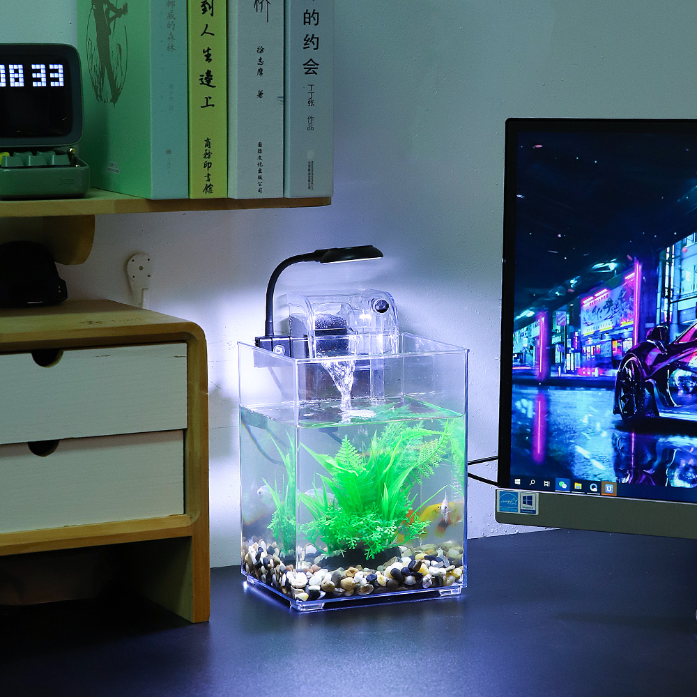 USB Desktop Fish Tank Set-Easy - Aquarium Fish For Beginners のレビューと価格
