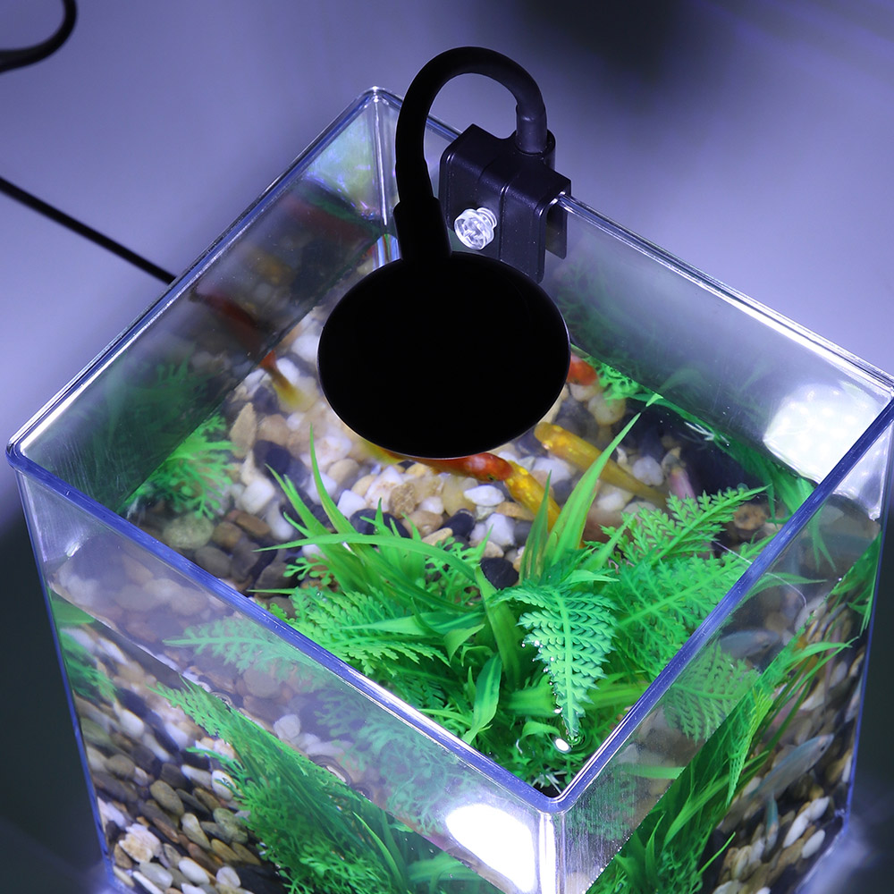 USB Desktop Fish Tank Set-Easy - Aquarium Fish For Beginners のレビューと価格